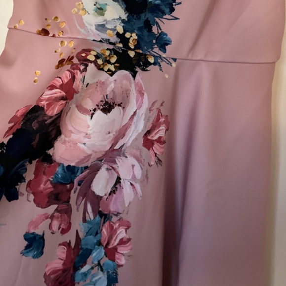 NWT Ted Baker Dress Raspbery Bardot Skater  size:5,  light pink,  painted flower - Picture 10 of 11